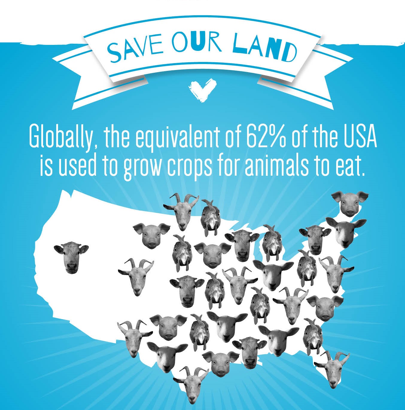save-our-land How much land is taken to grow crops for animals
