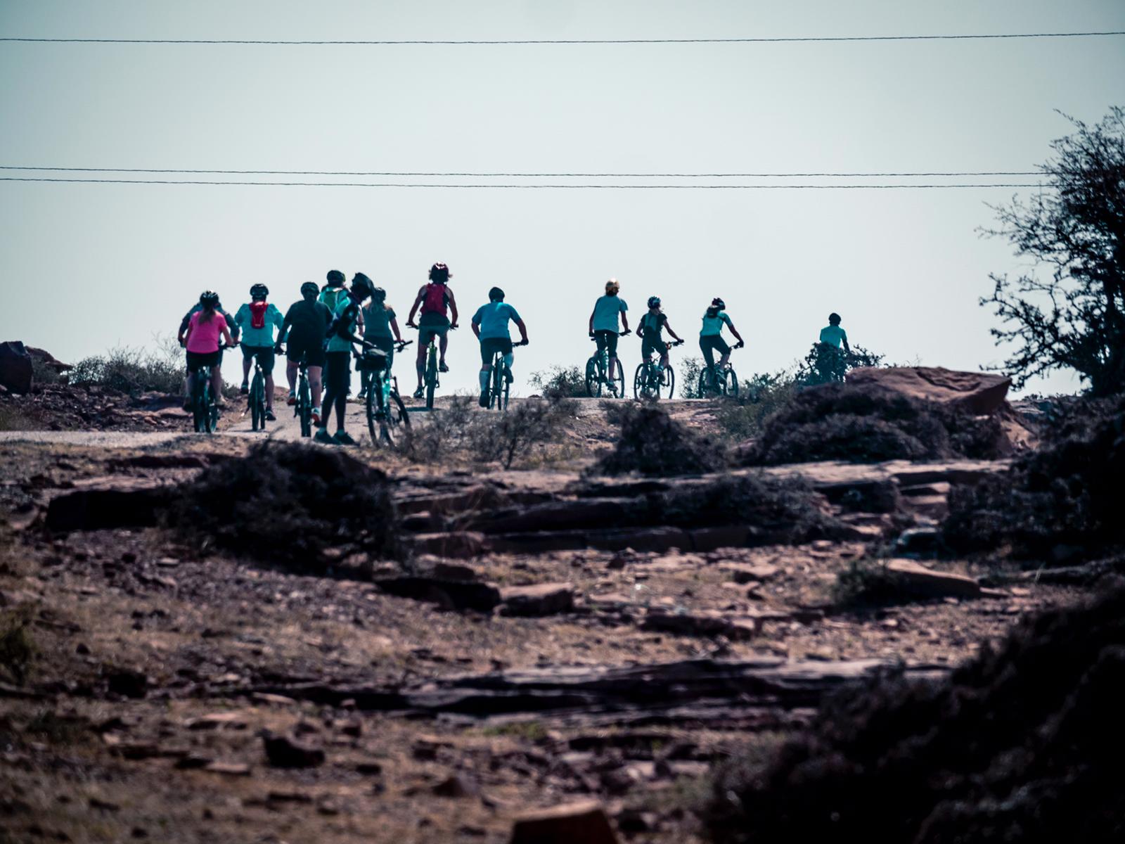 vegan cycle india