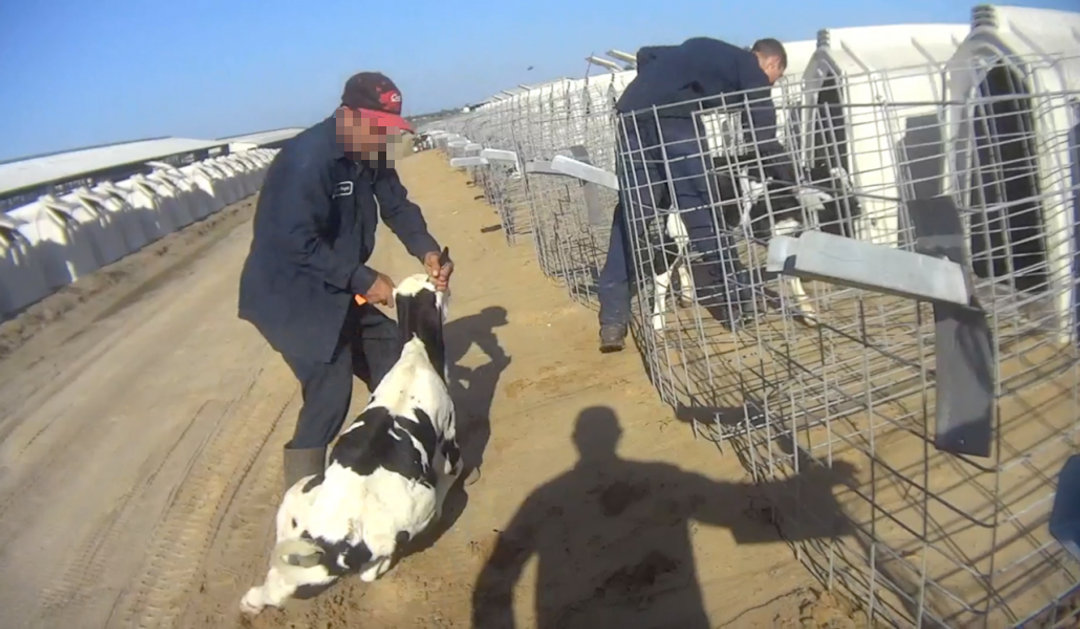 Fair Oaks Dairy Farm