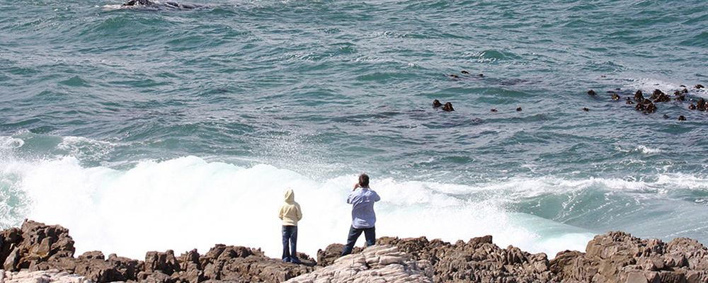 Two people standing on a beach looking out to sea - this is a beautiful vegan holiday destination