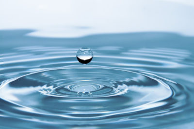 Ahorrarás agua