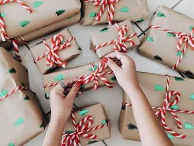 vegan Christmas gift guide