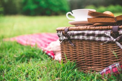 Vegan picnic ideas