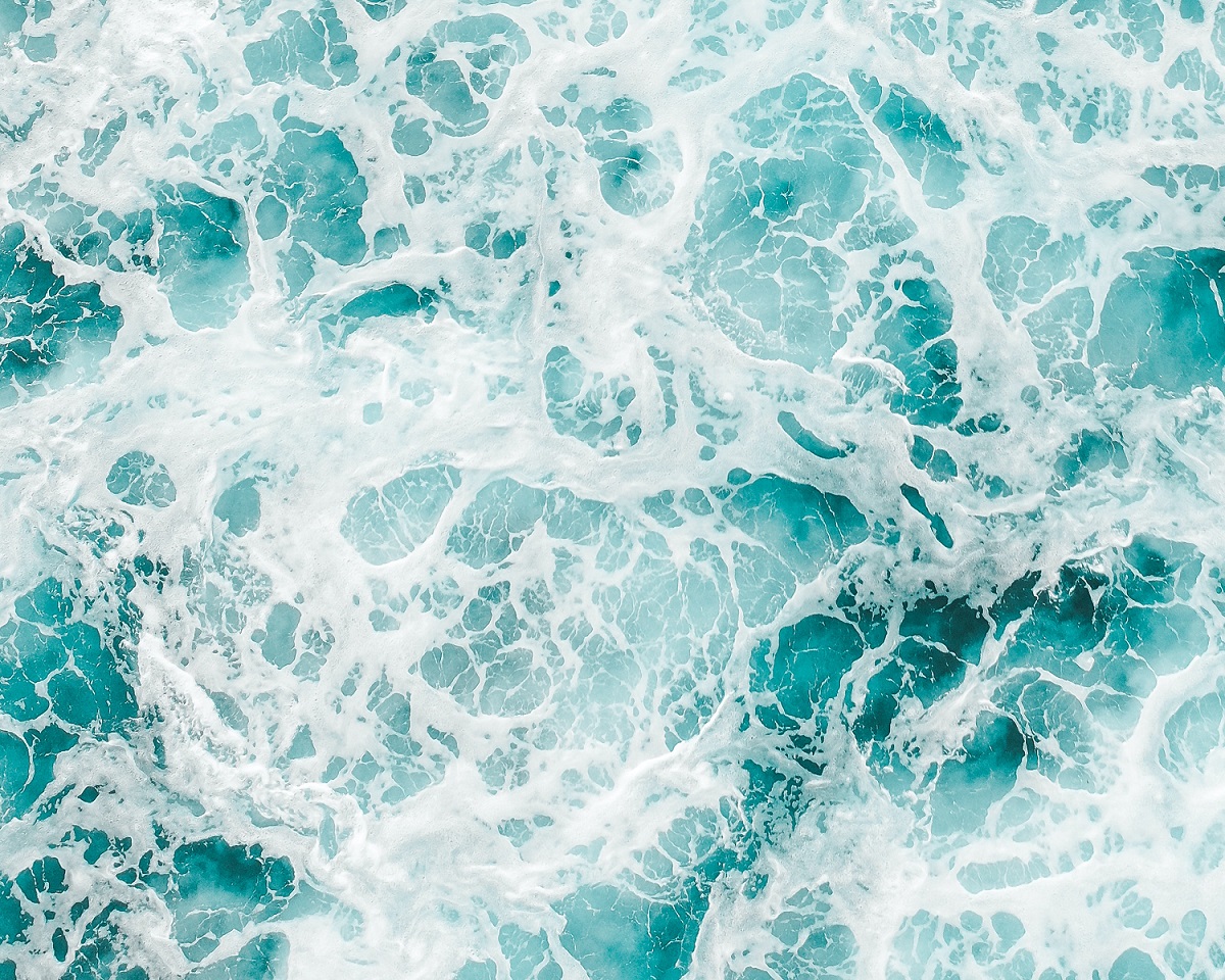 Ocean documentaries