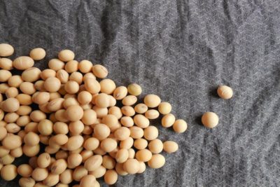 soya beans