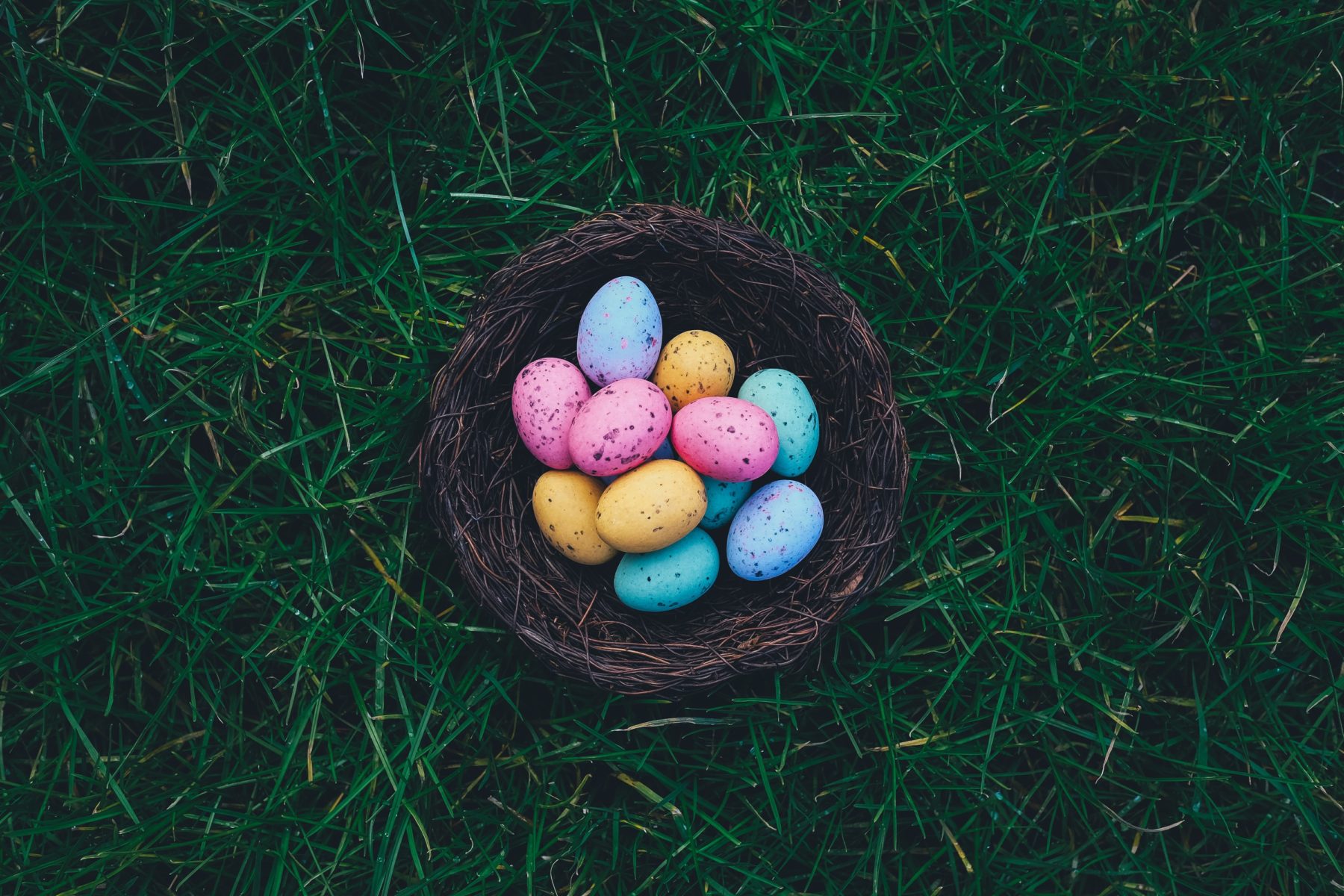 This image has an empty alt attribute; its file name is annie-spratt-43o1KVbOWXA-unsplash-1800x1200.jpg