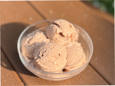 Chocolate Ice Cream in a Bowl